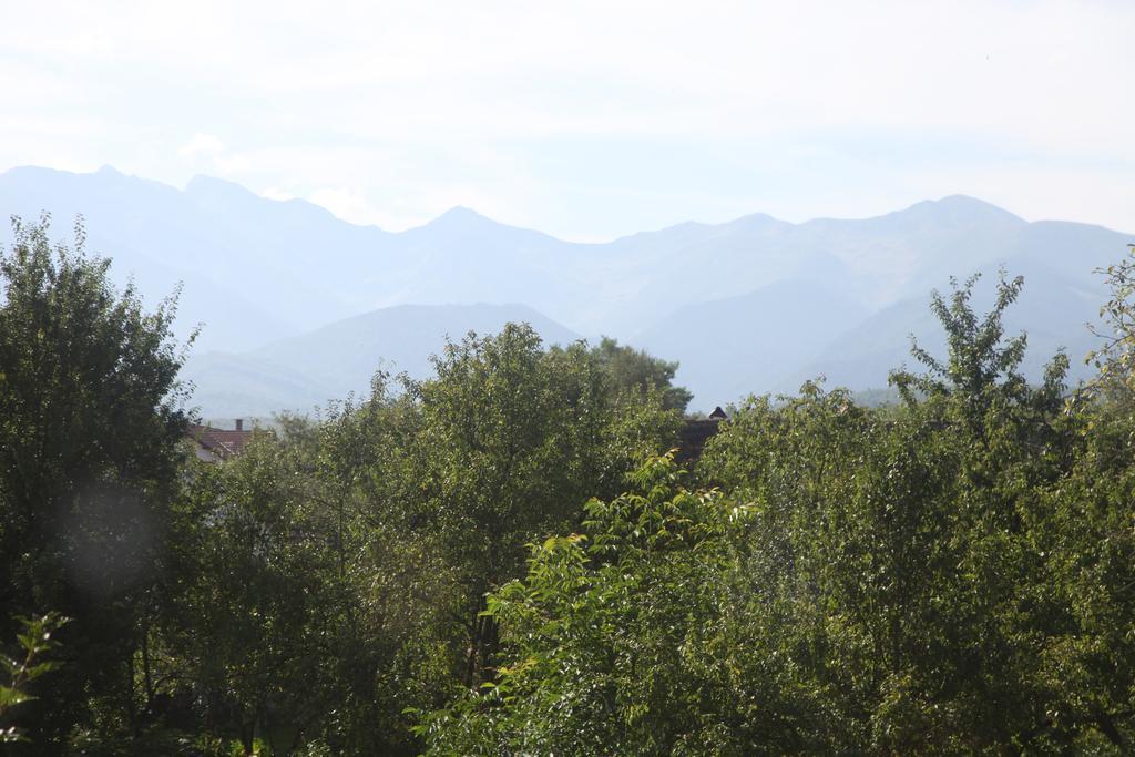 La Mosu Villa Porumbacu de Sus Buitenkant foto
